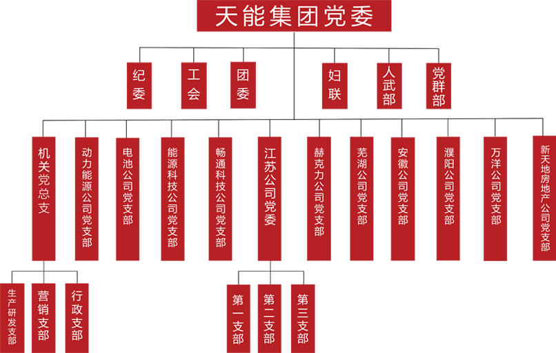 AG平台建团党委组织架构